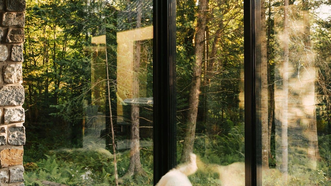 Fensterrahmen in einem Waldhaus