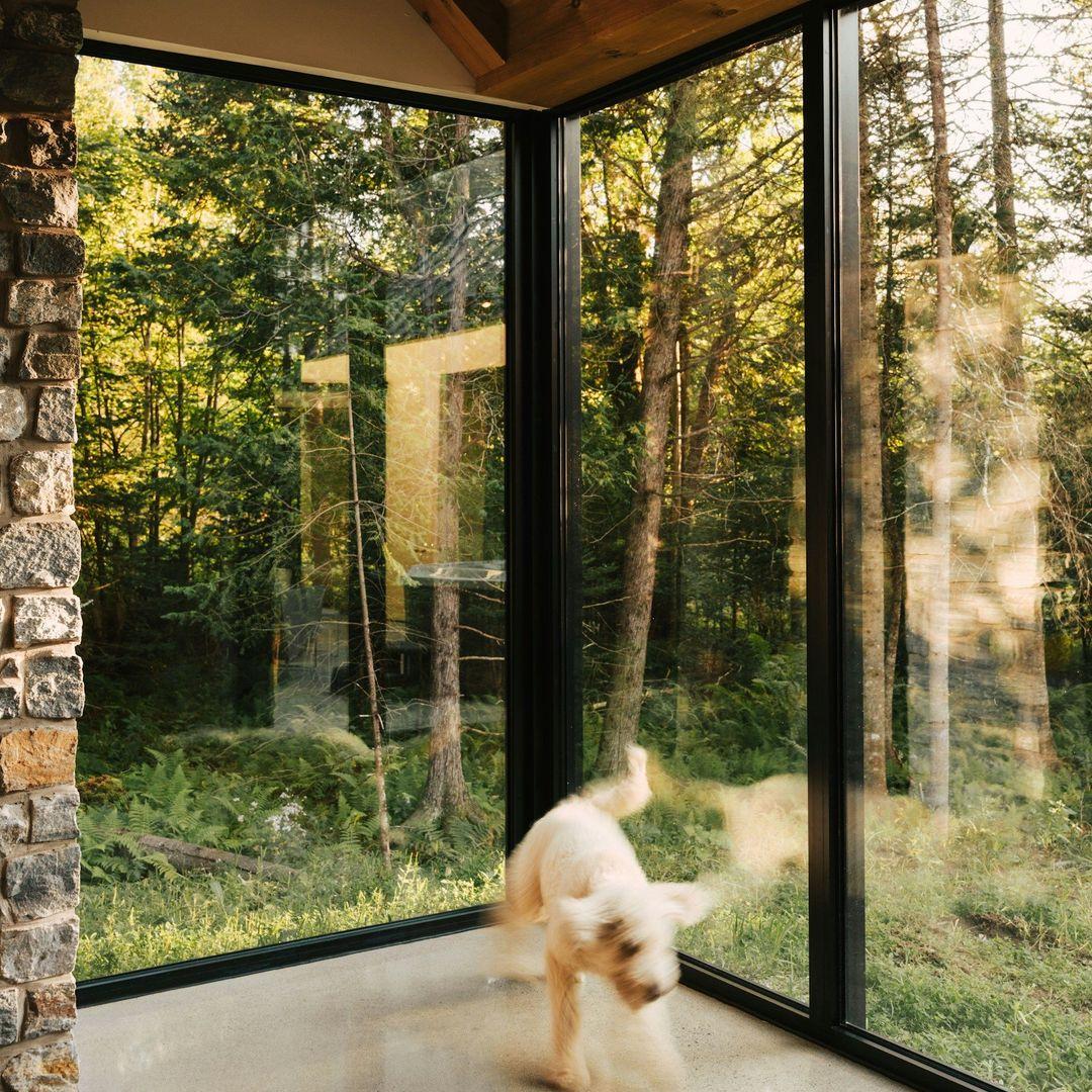 Fensterrahmen in einem Waldhaus