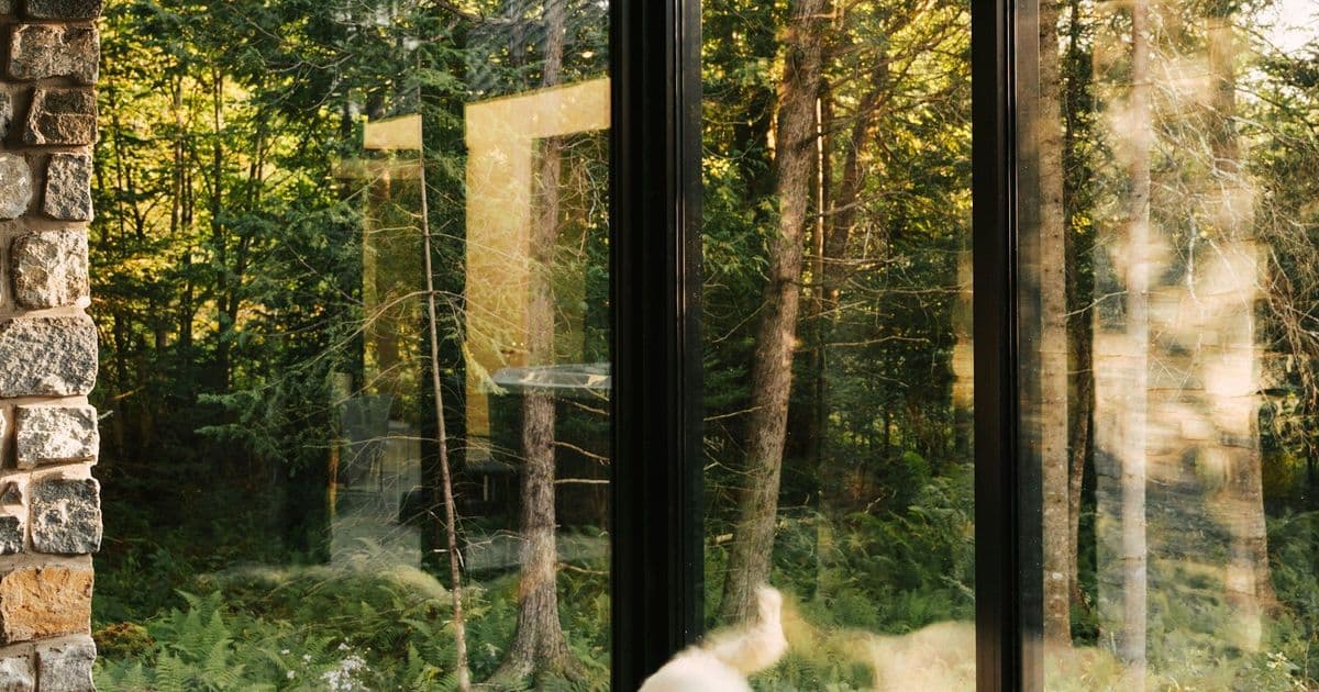 Fensterrahmen in einem Waldhaus