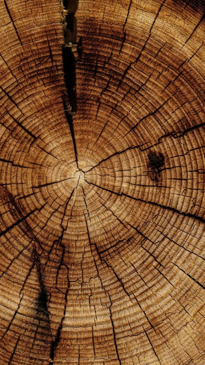 Megamenü Interior Film Wood