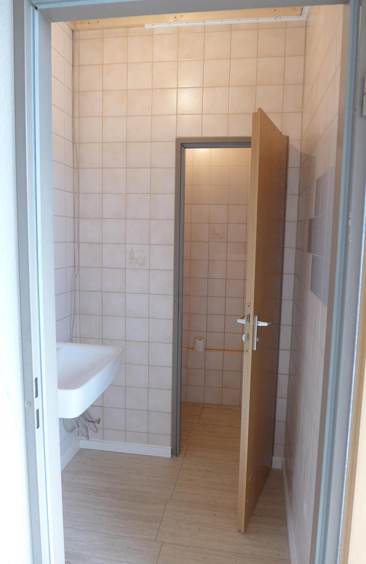 Complete bathroom re-design in matching colour for the tiles (silver metallic effect) and door (white) - before
