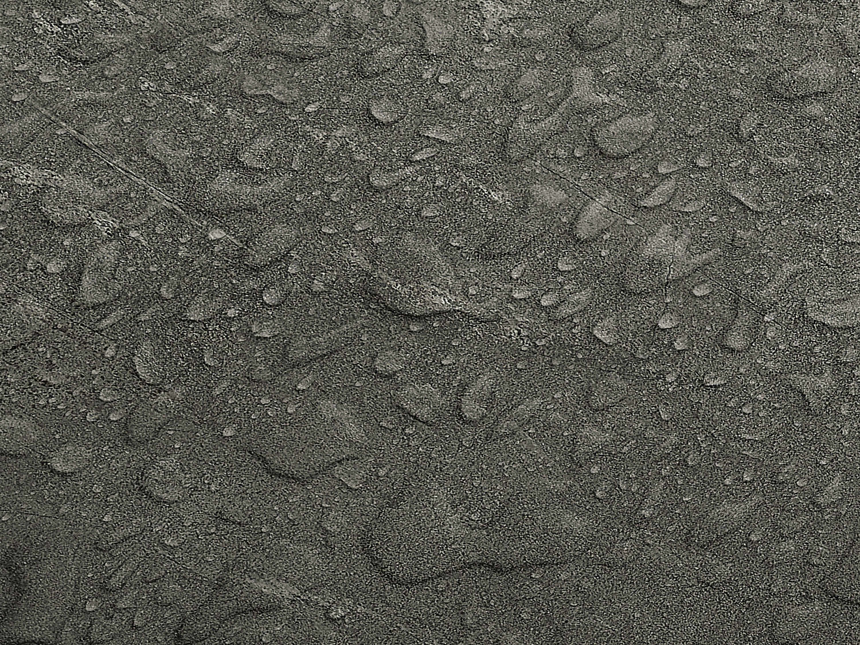 Testbild
