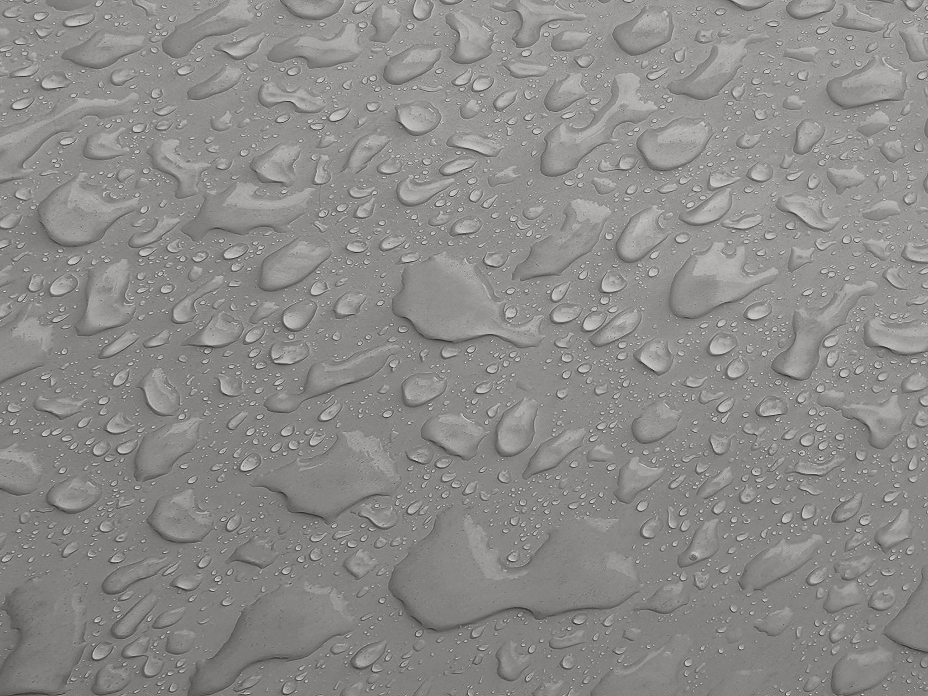 Testbild