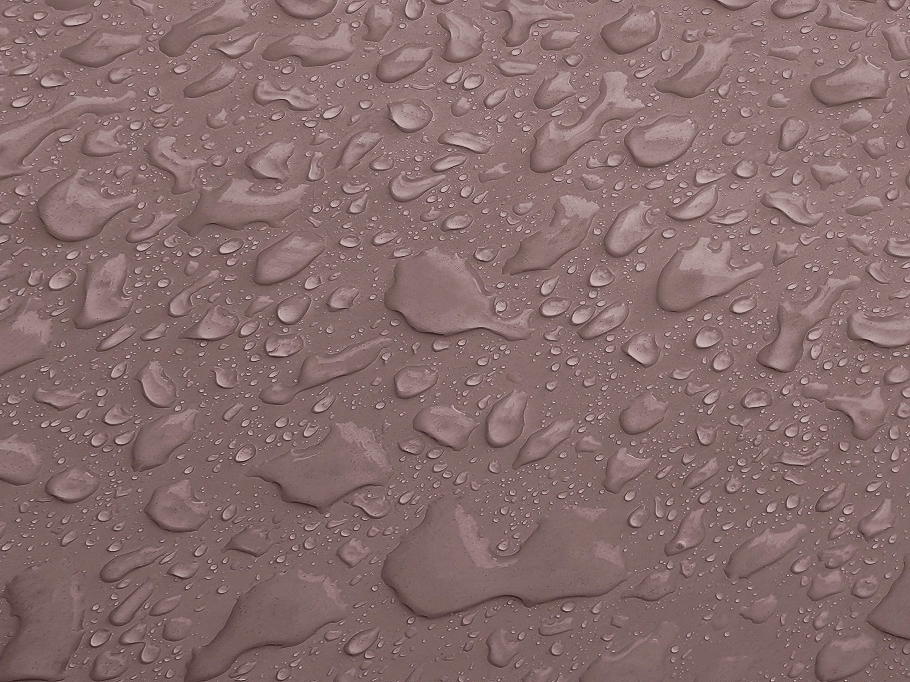 Testbild