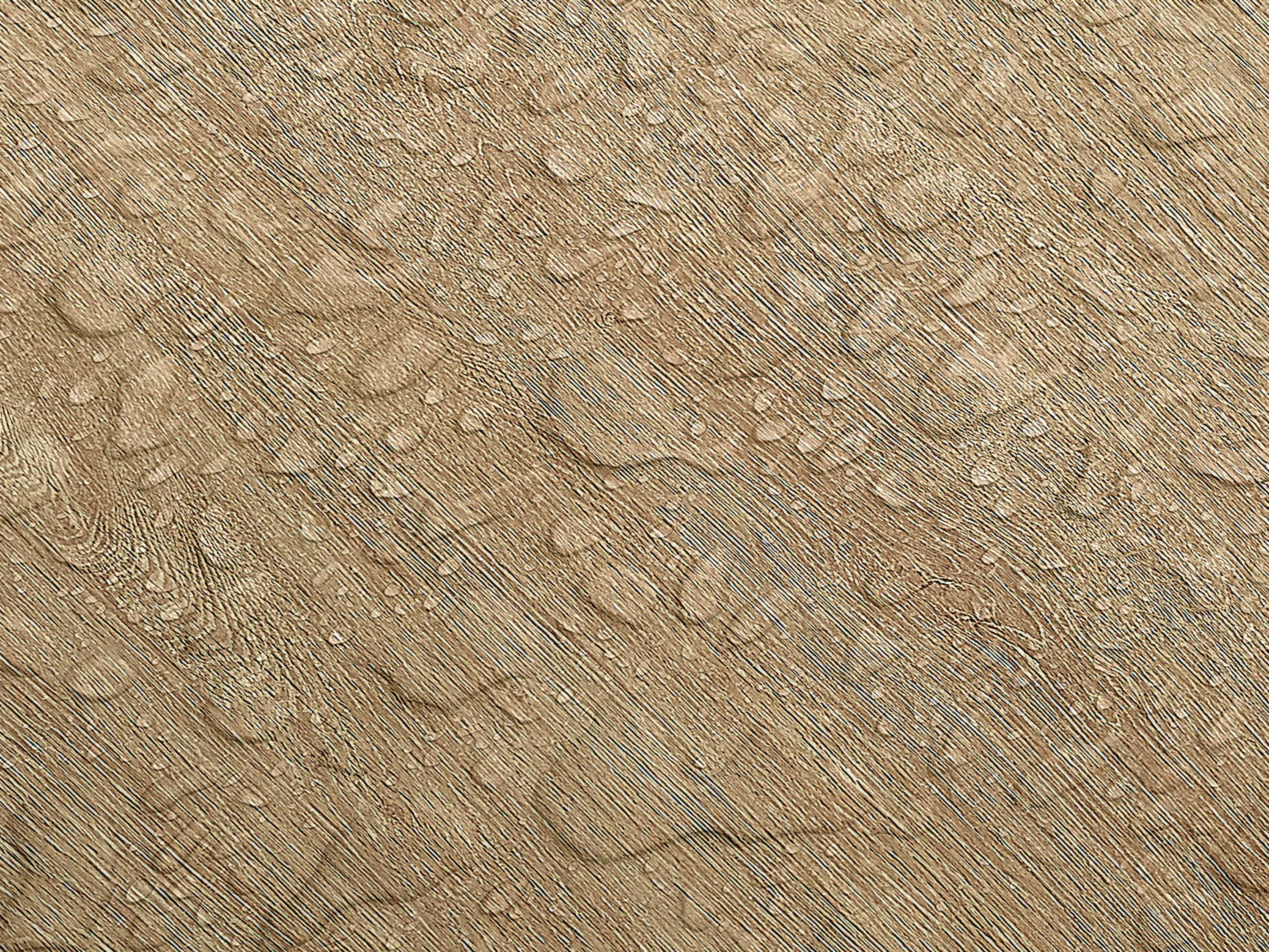 Testbild
