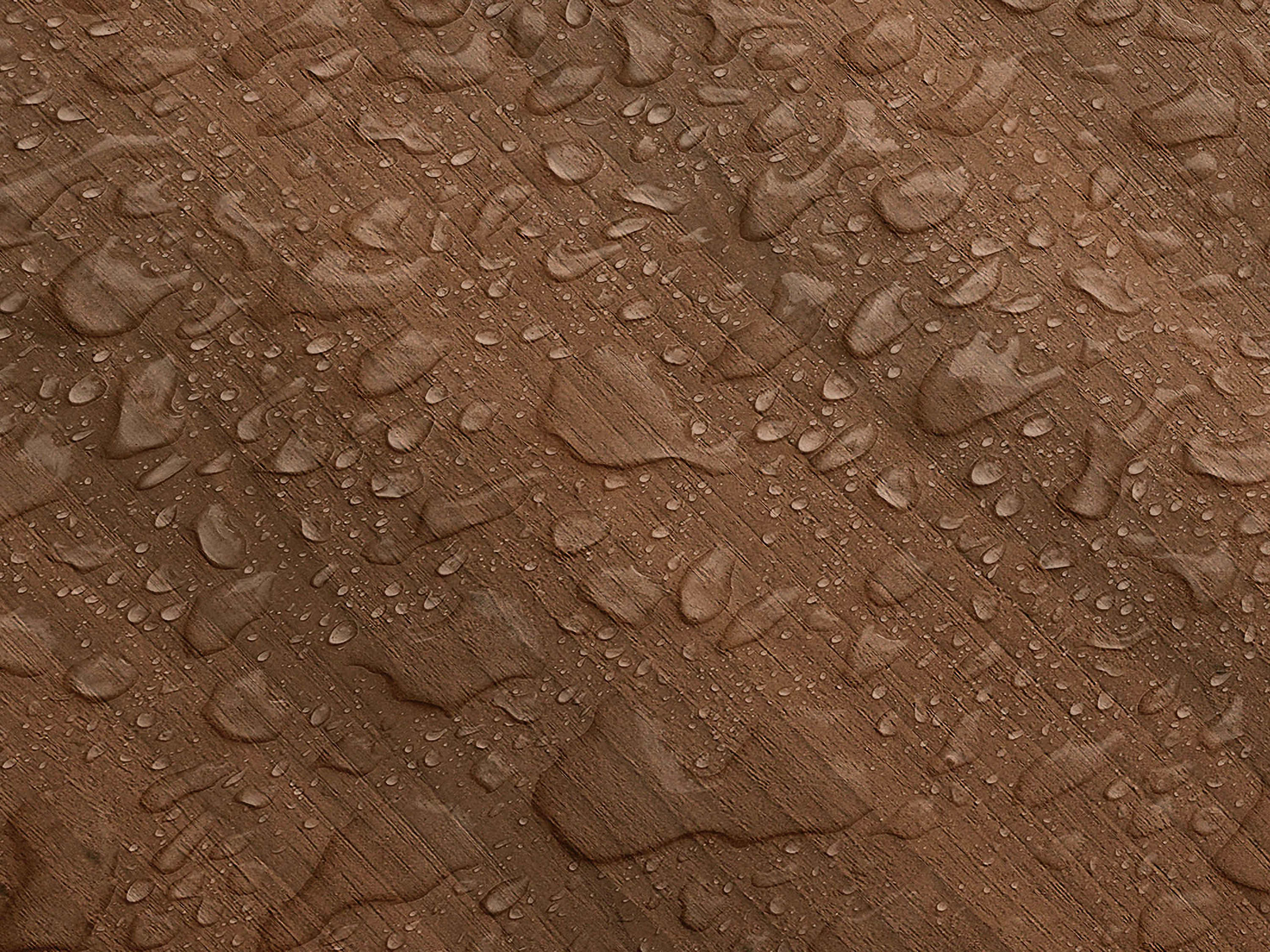 Testbild