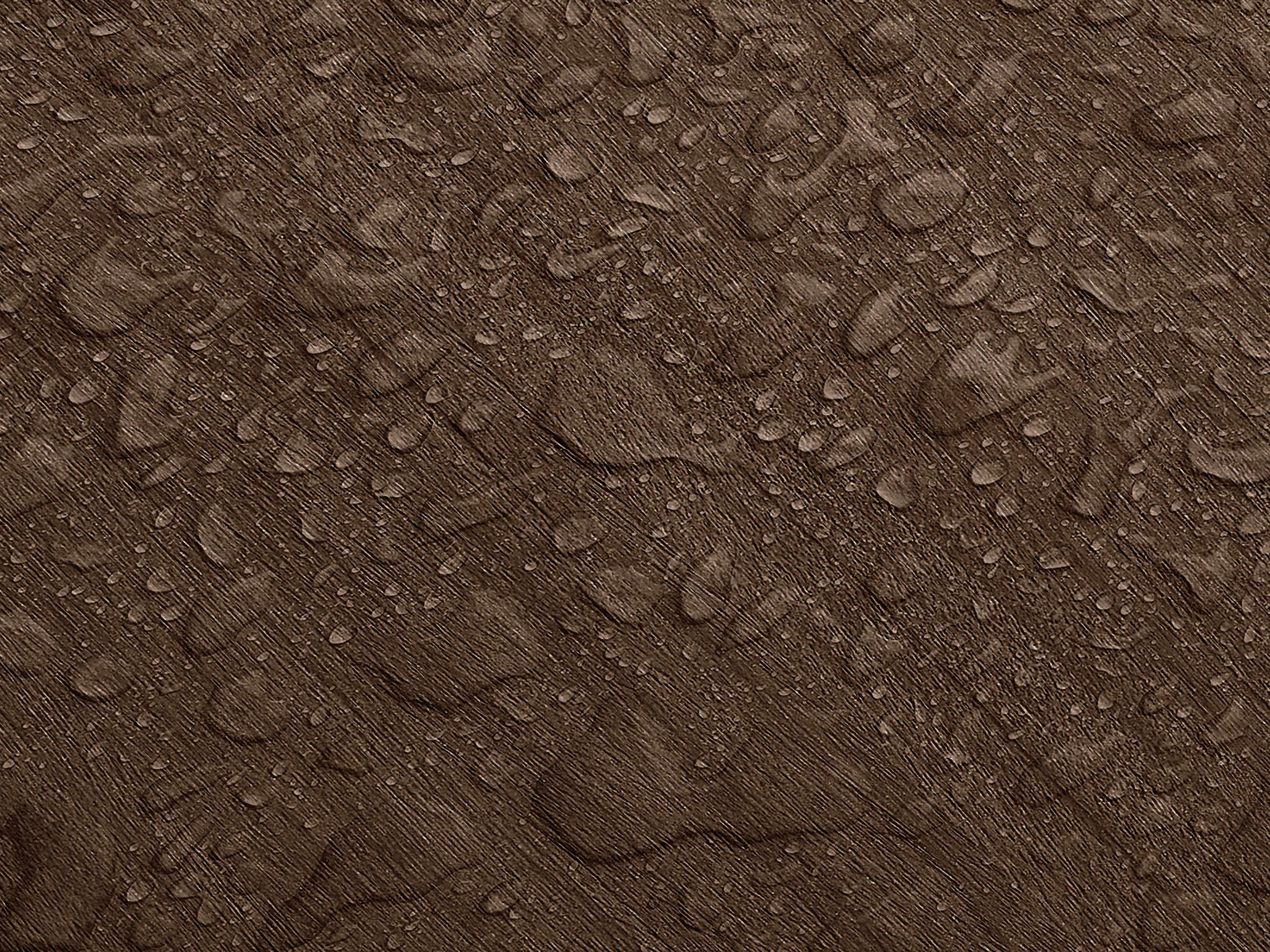 Testbild
