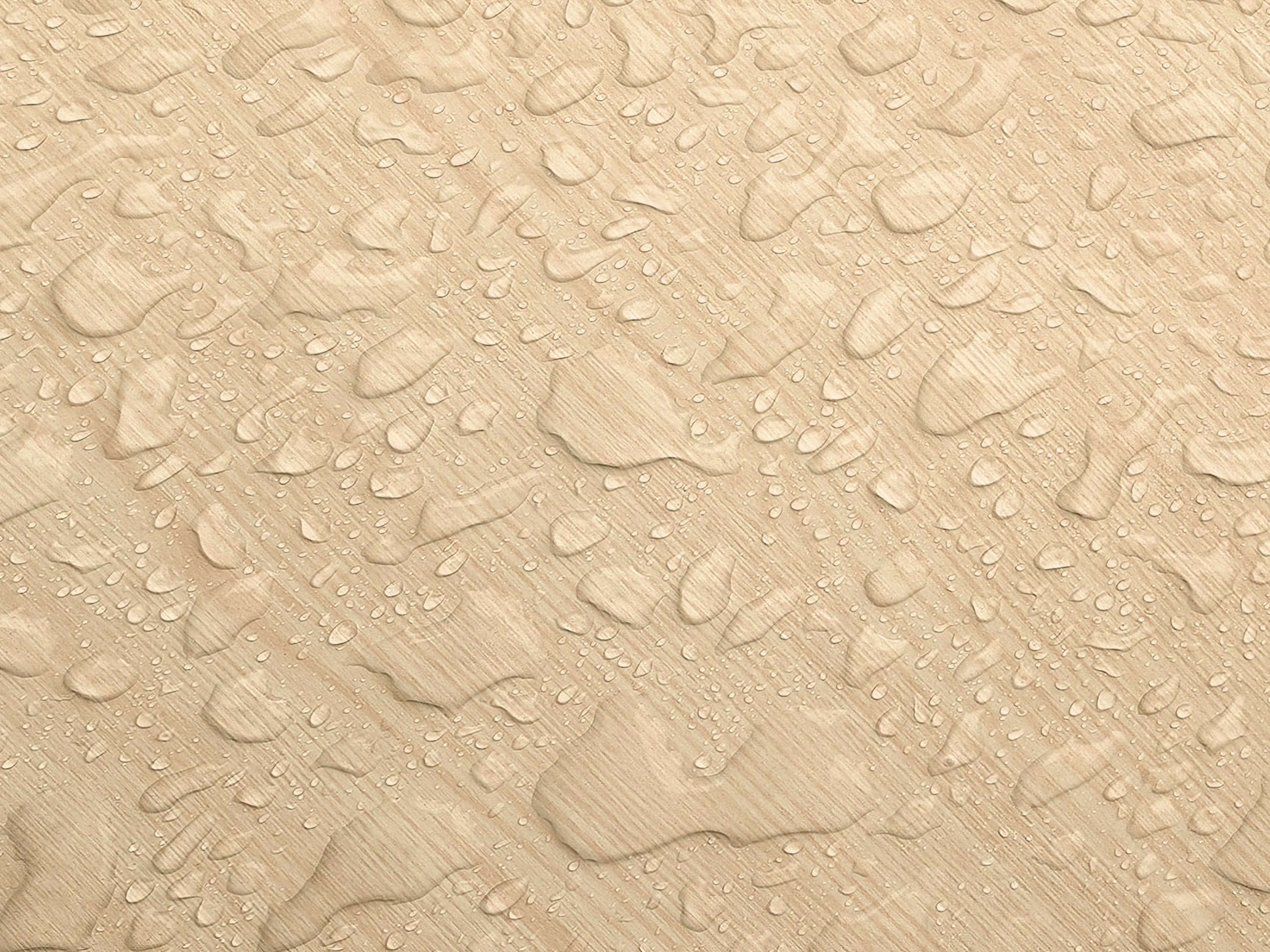 Testbild