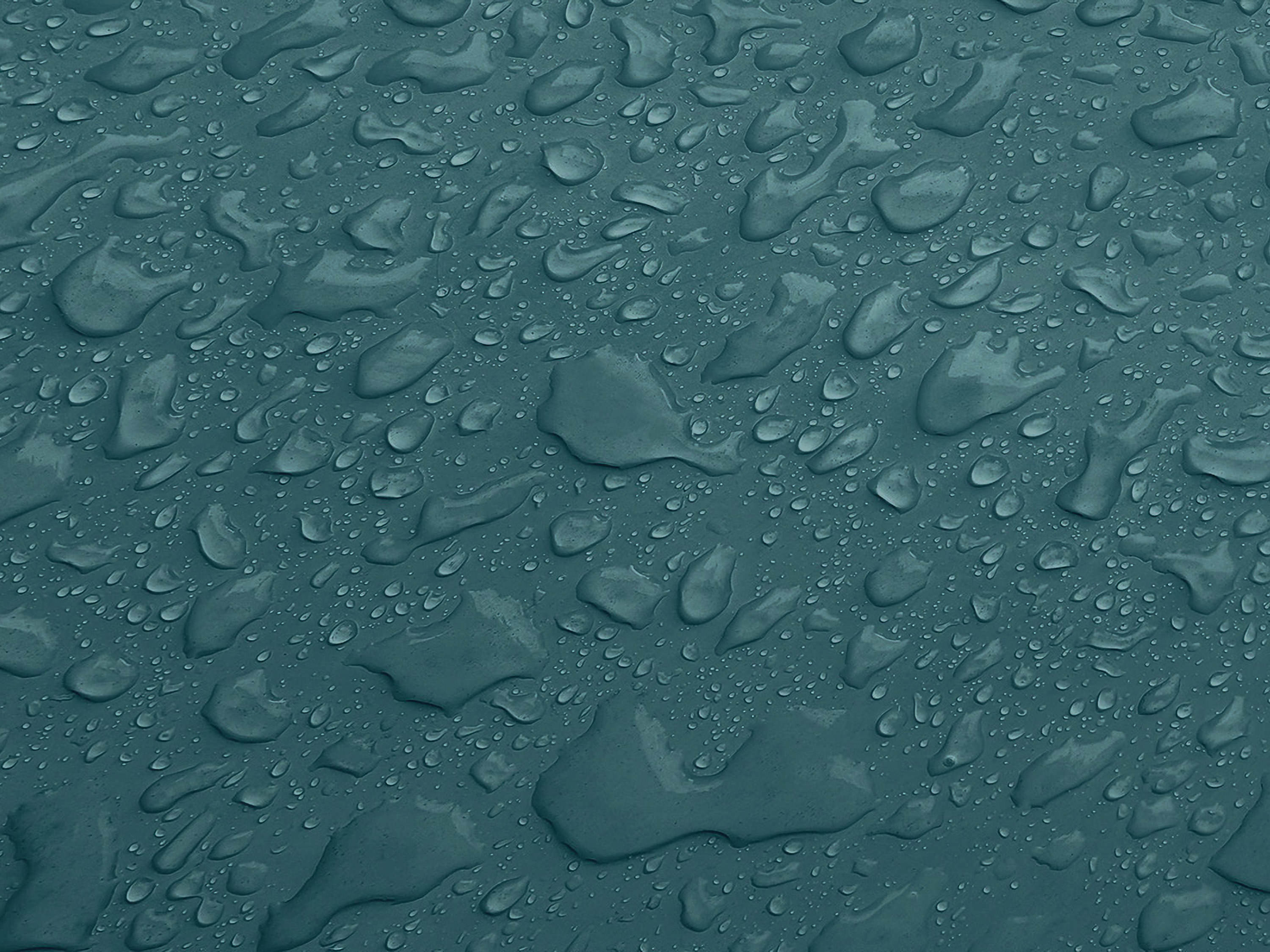 Testbild