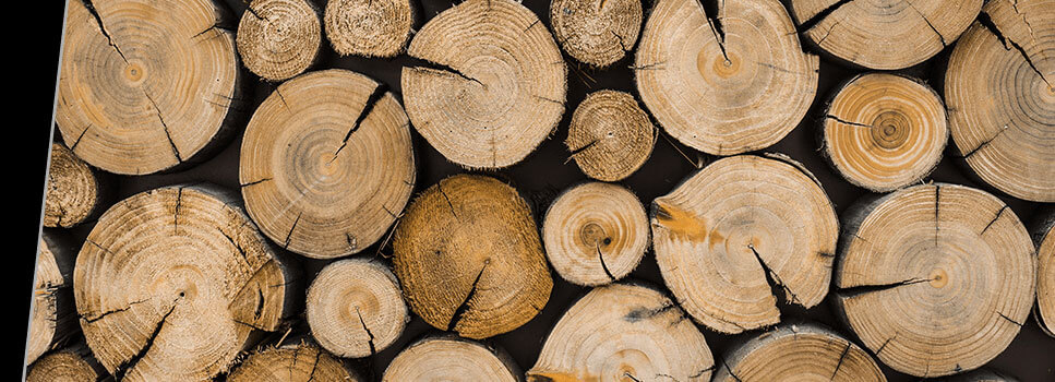 Holzfolie