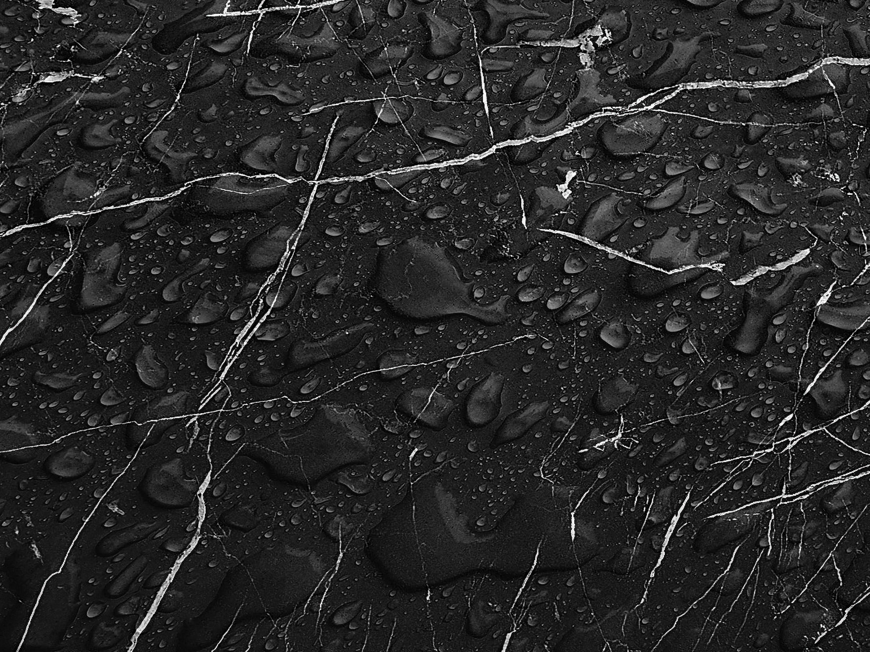 Testbild