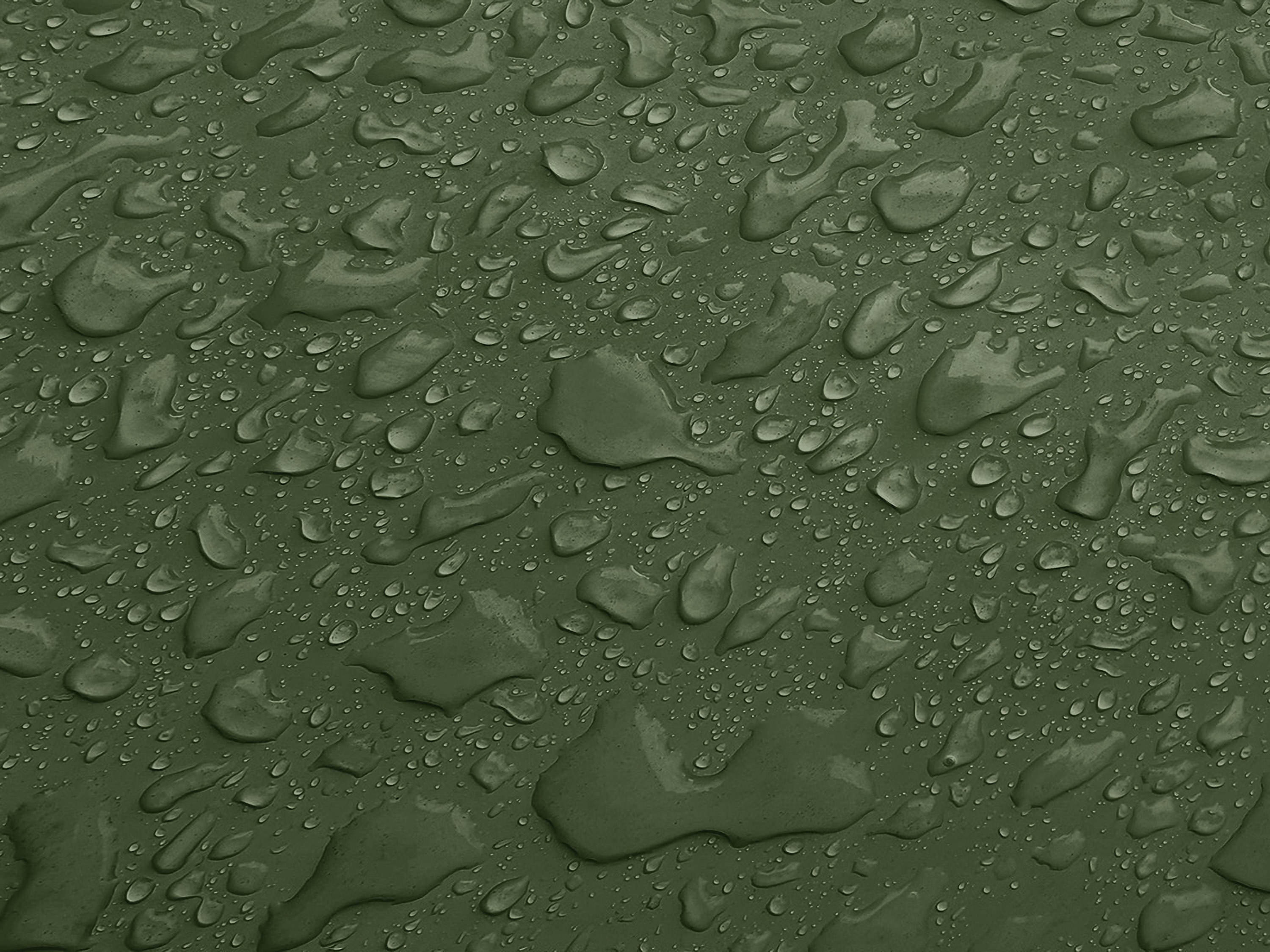 Testbild