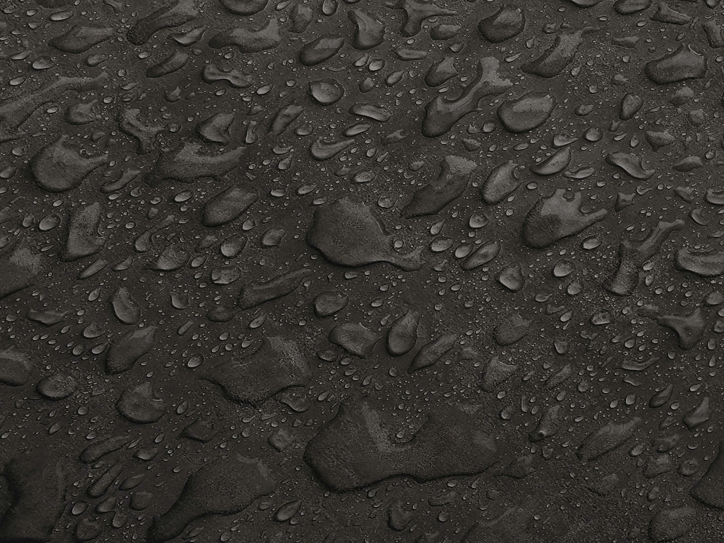 Testbild