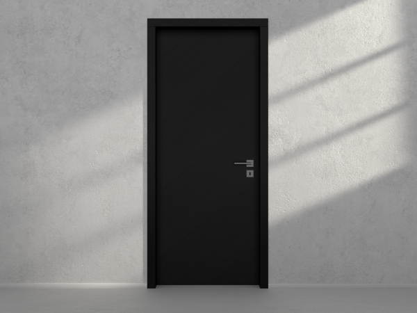 Door with material