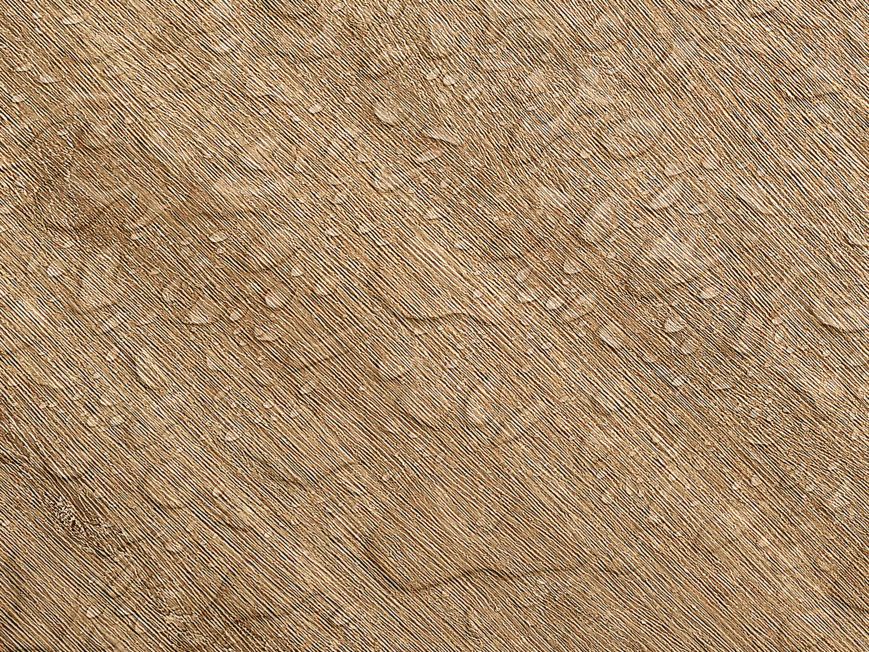 Testbild