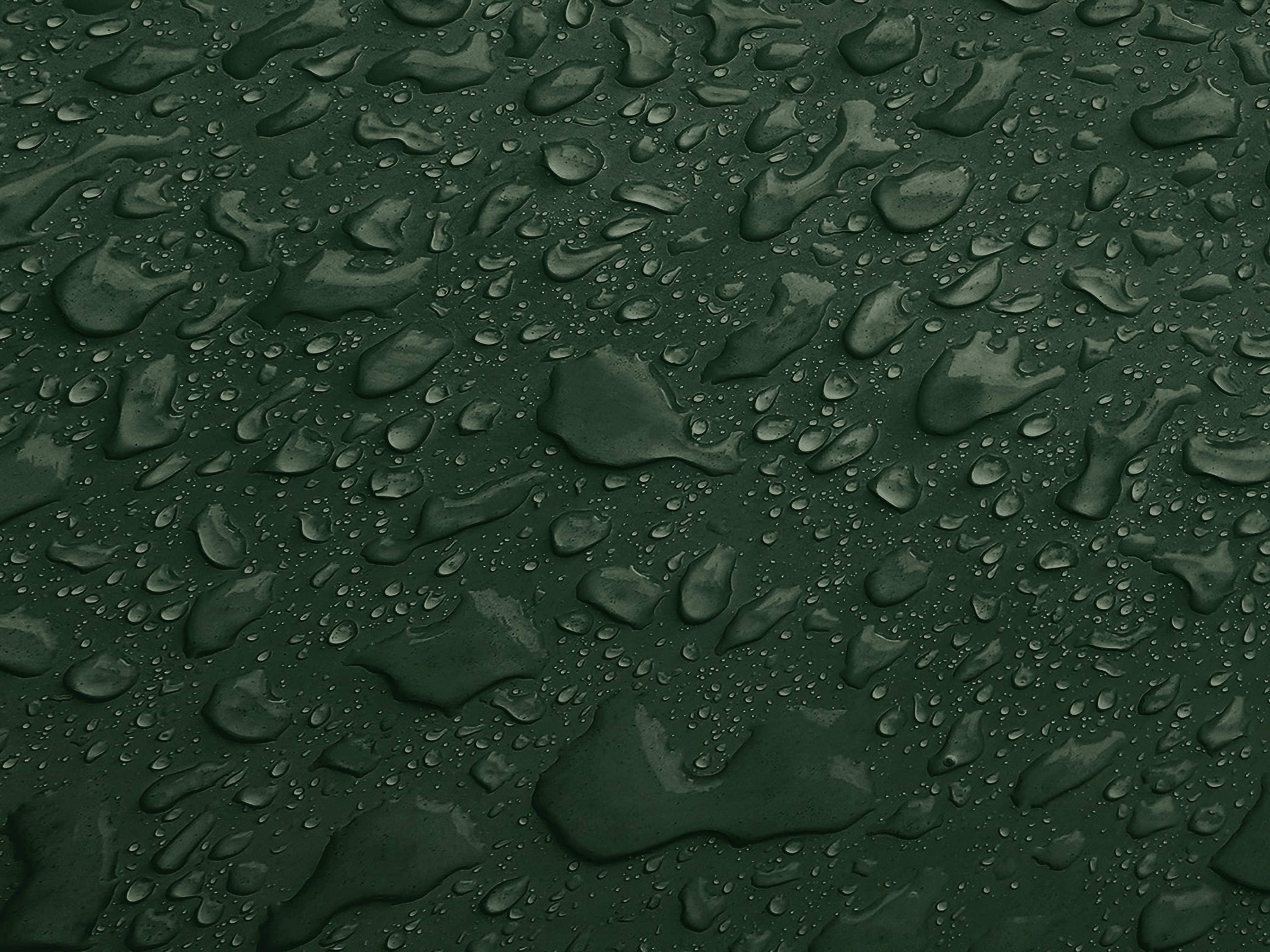 Testbild