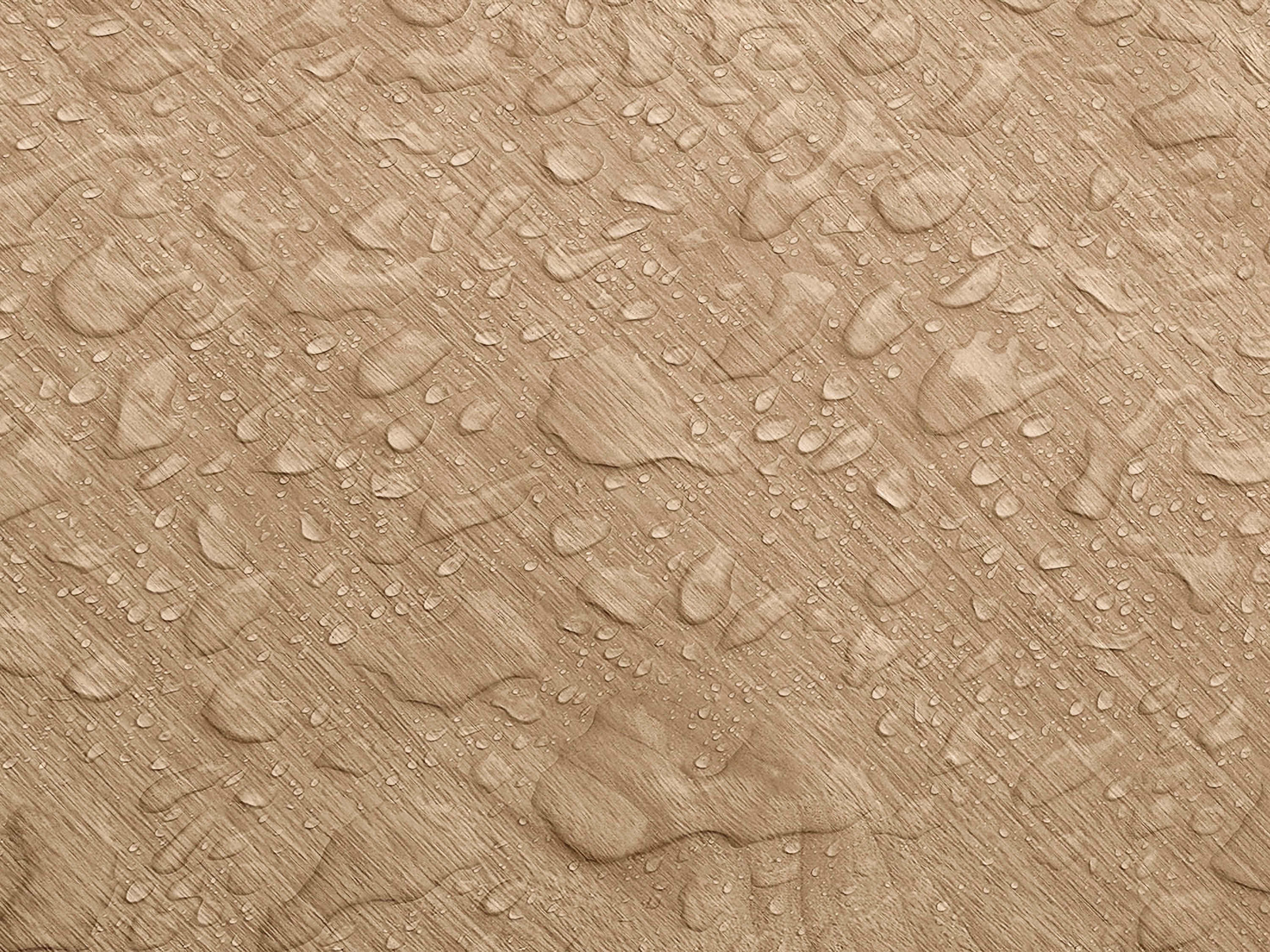 Testbild