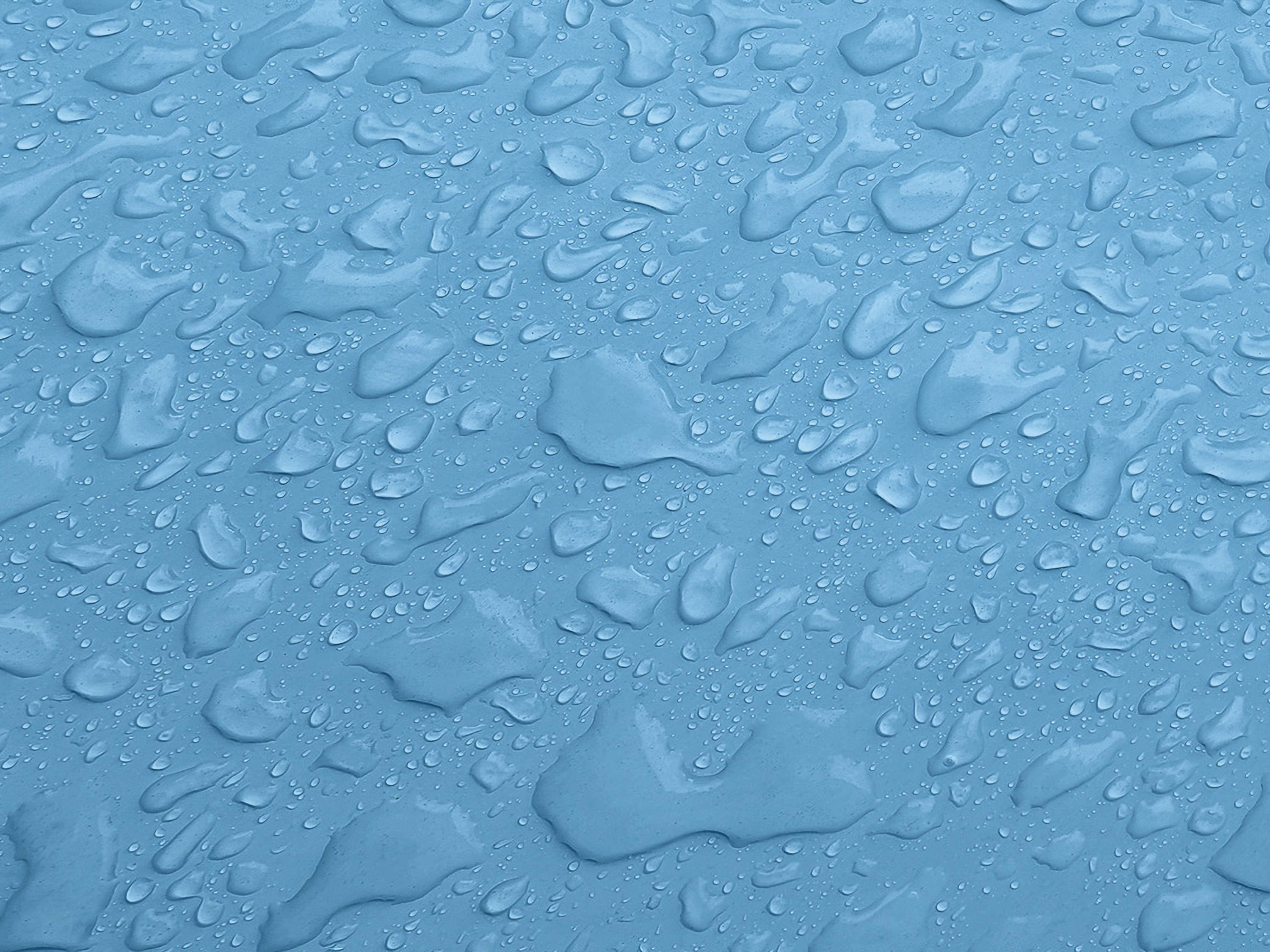 Testbild