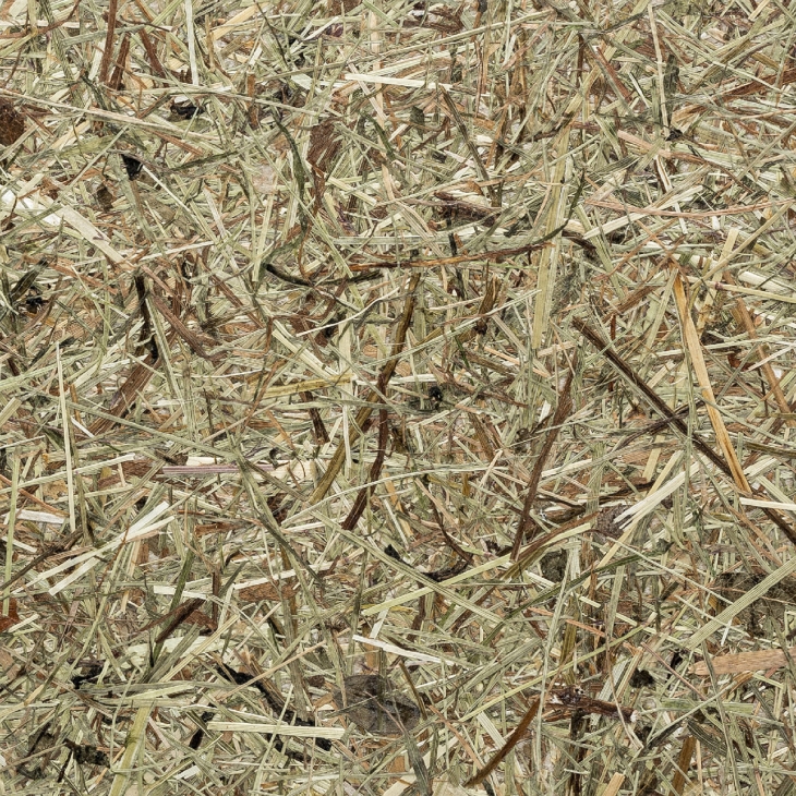 WILDSPITZE - Klickboden