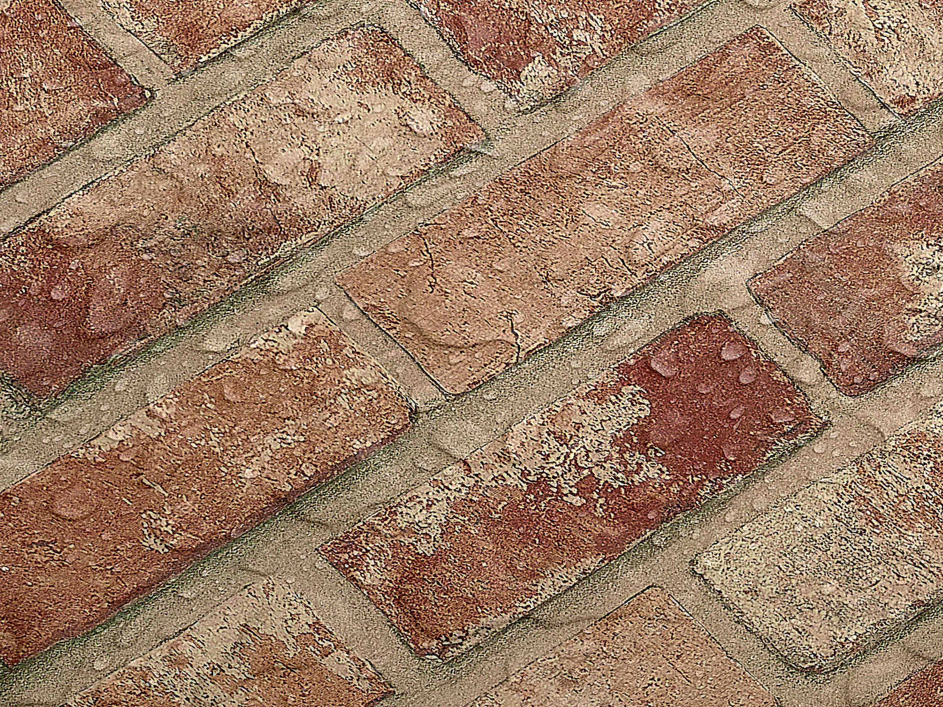 Testbild