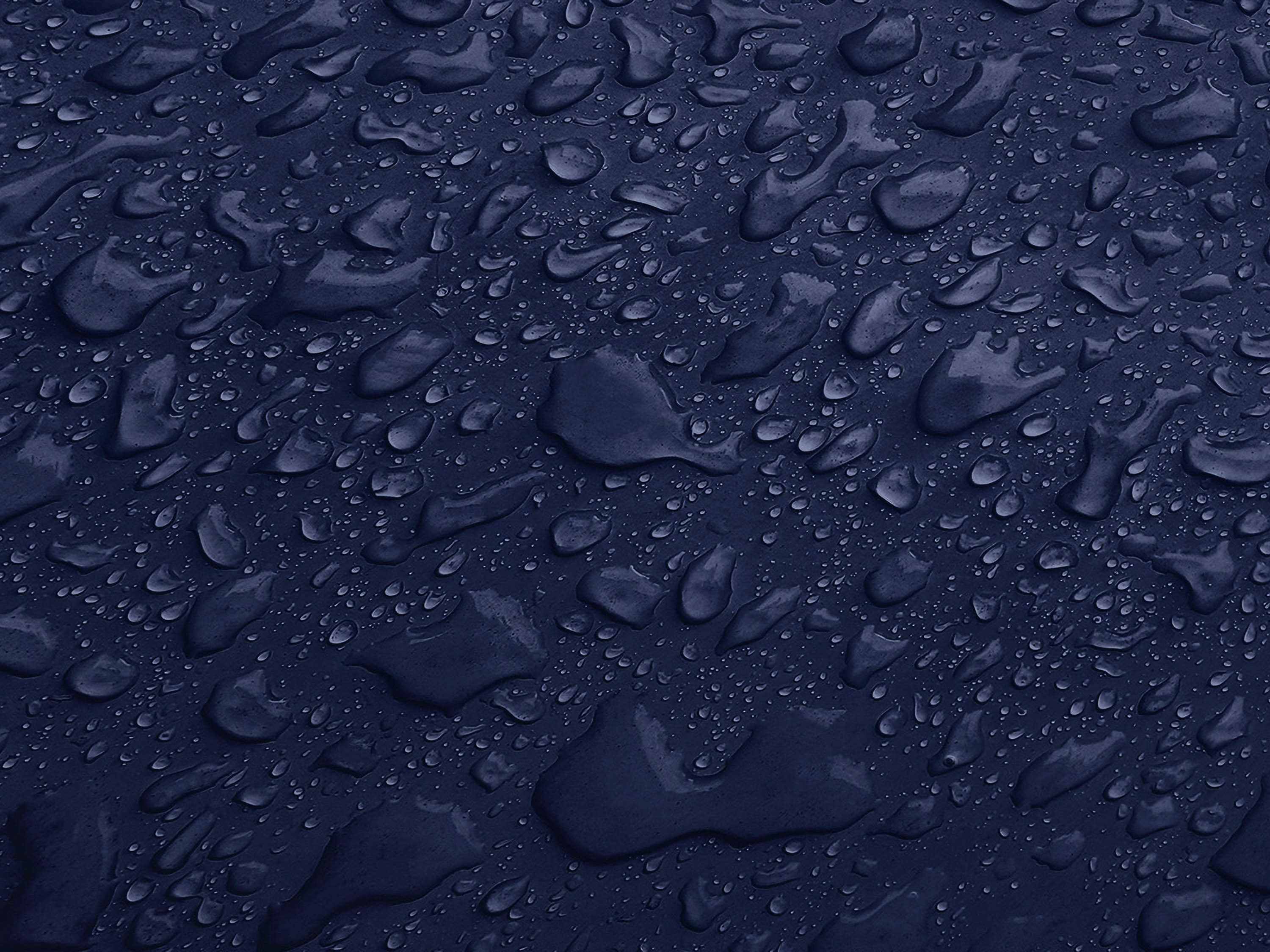 Testbild