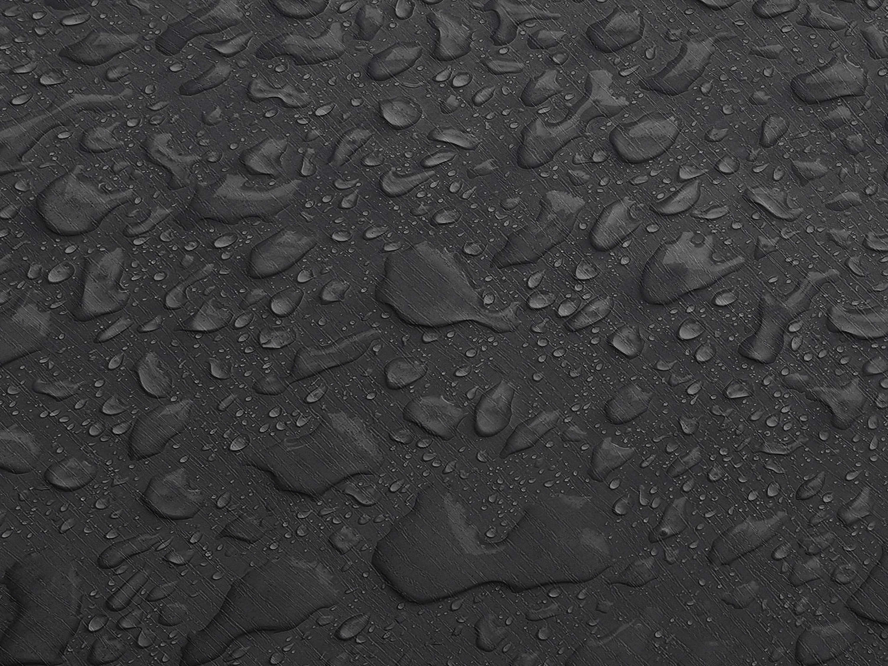 Testbild