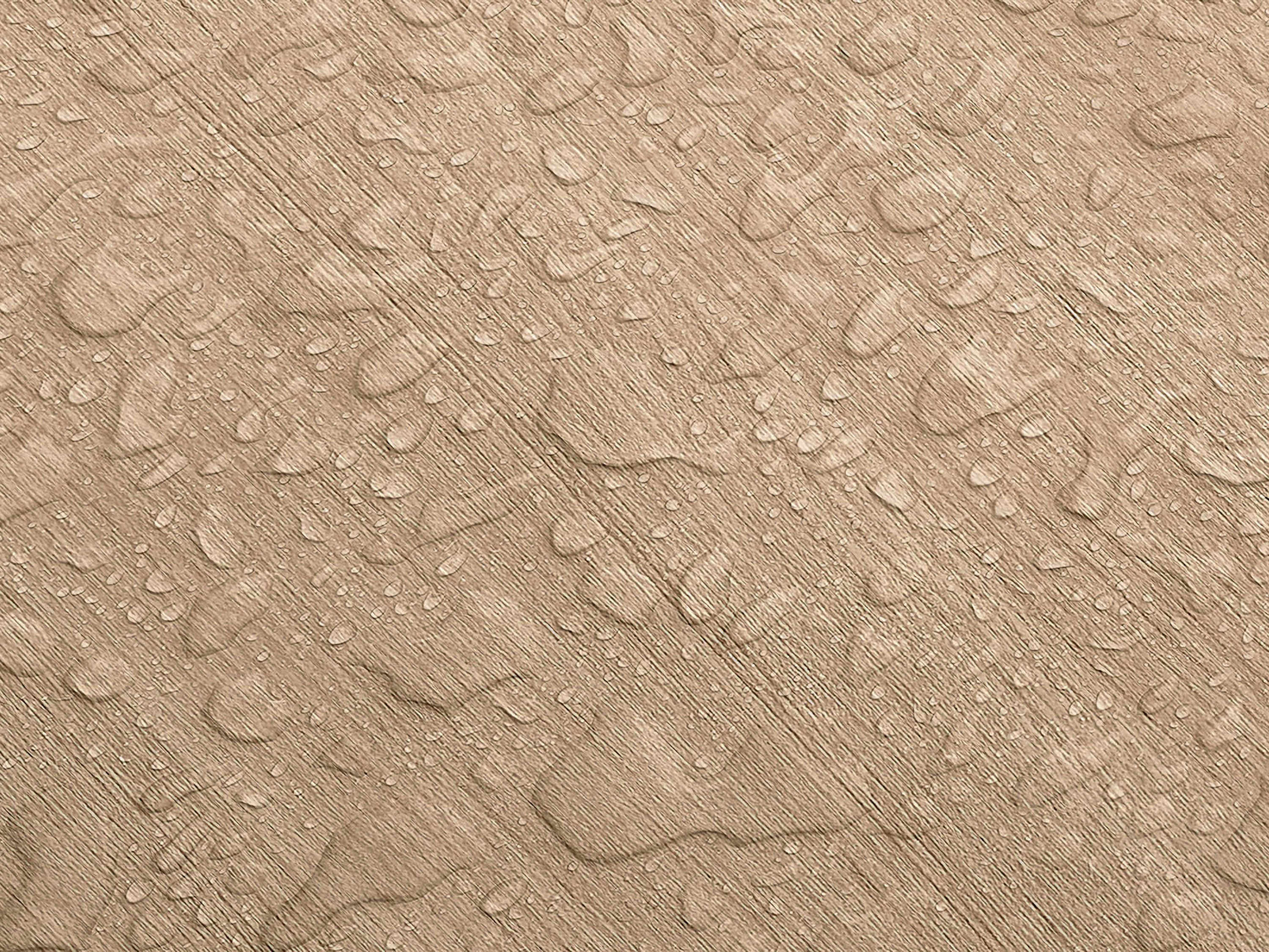 Testbild