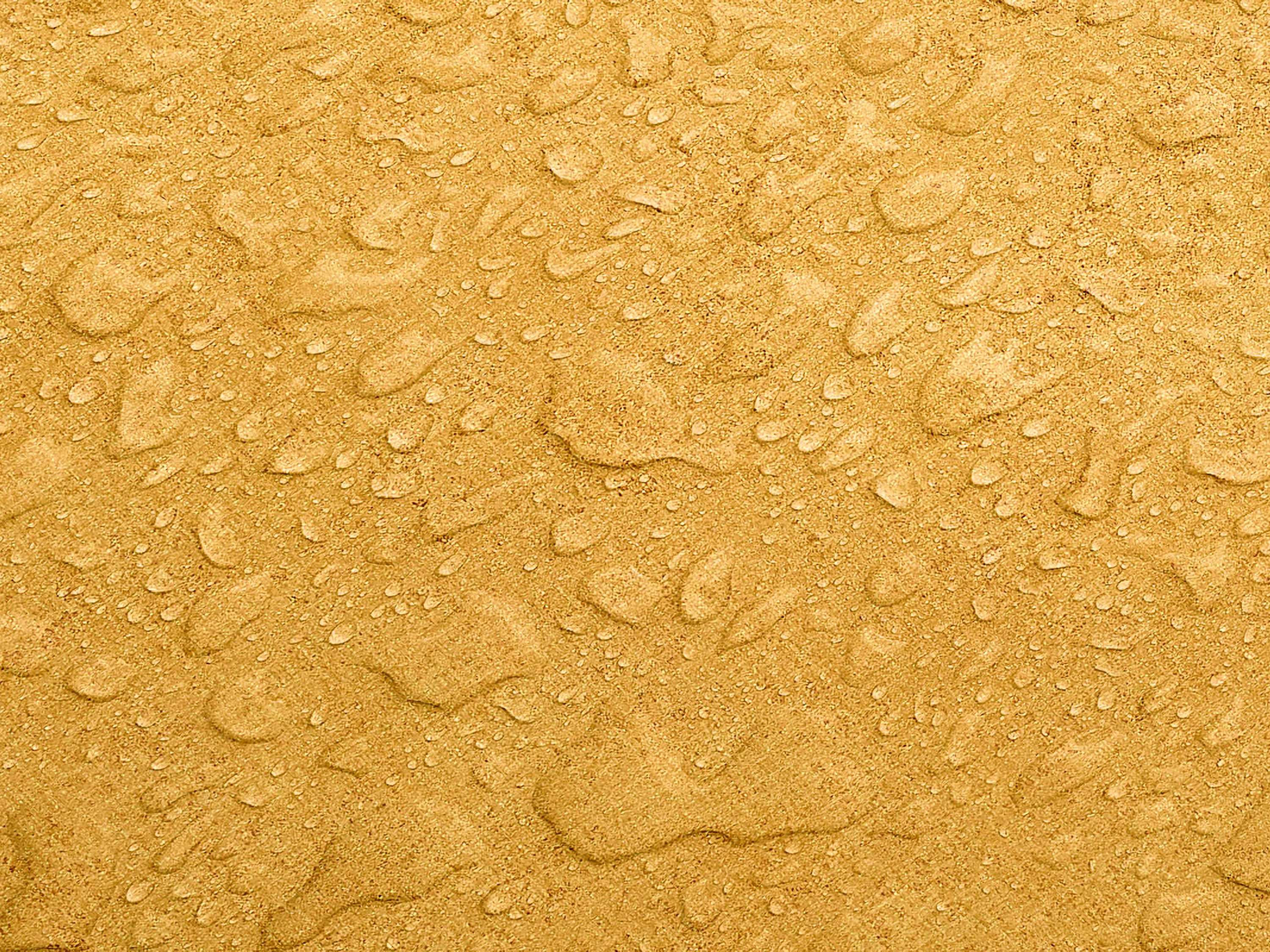 Testbild