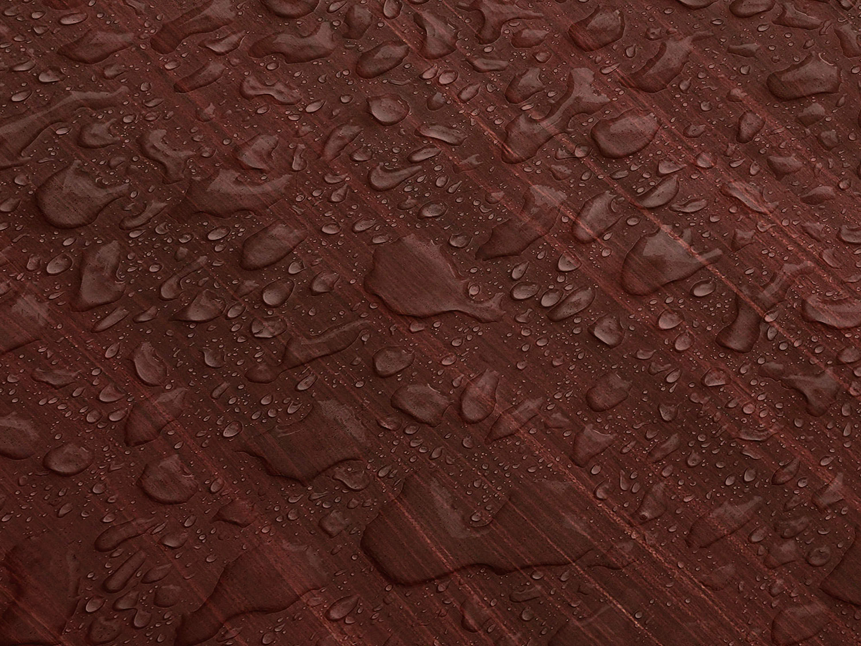 Testbild