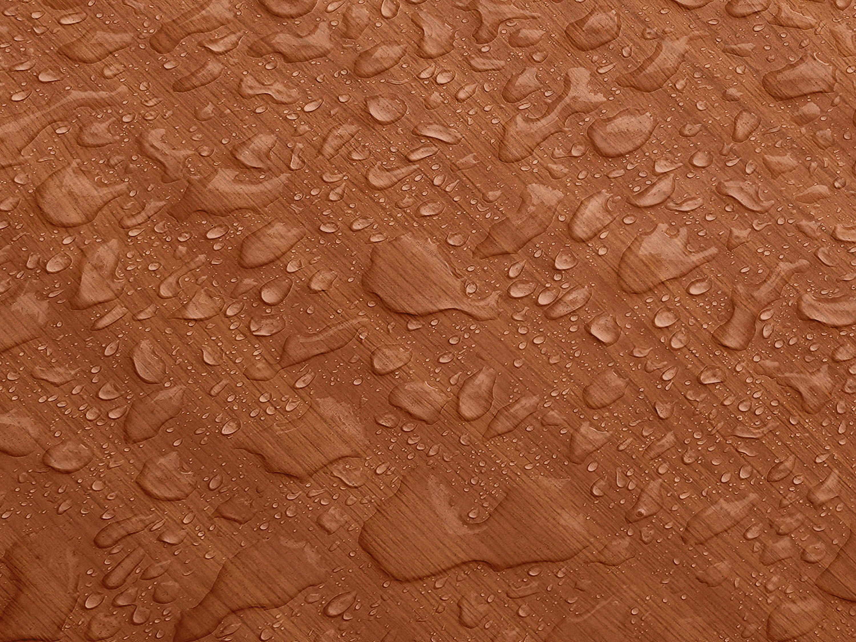 Testbild